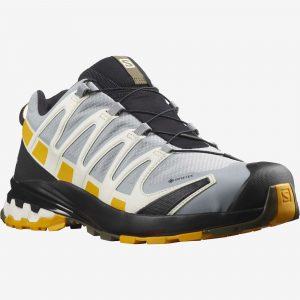Salomon XA Pro 3D V8 GTX