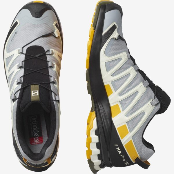 SALOMON XA PRO 3D V8 GTX